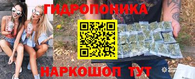 крисы Краснознаменск