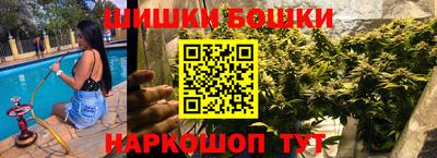 крисы Краснознаменск
